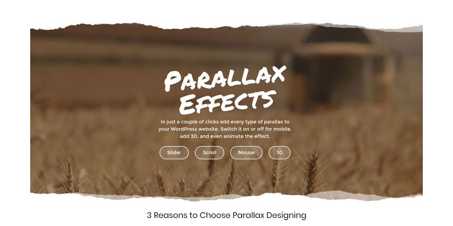 3 Reasons to Choose Parallax Designing