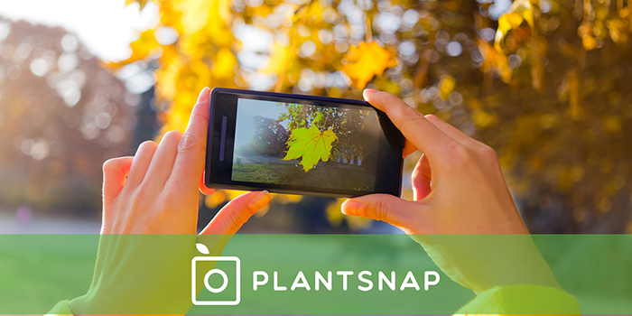 PlantSnap App